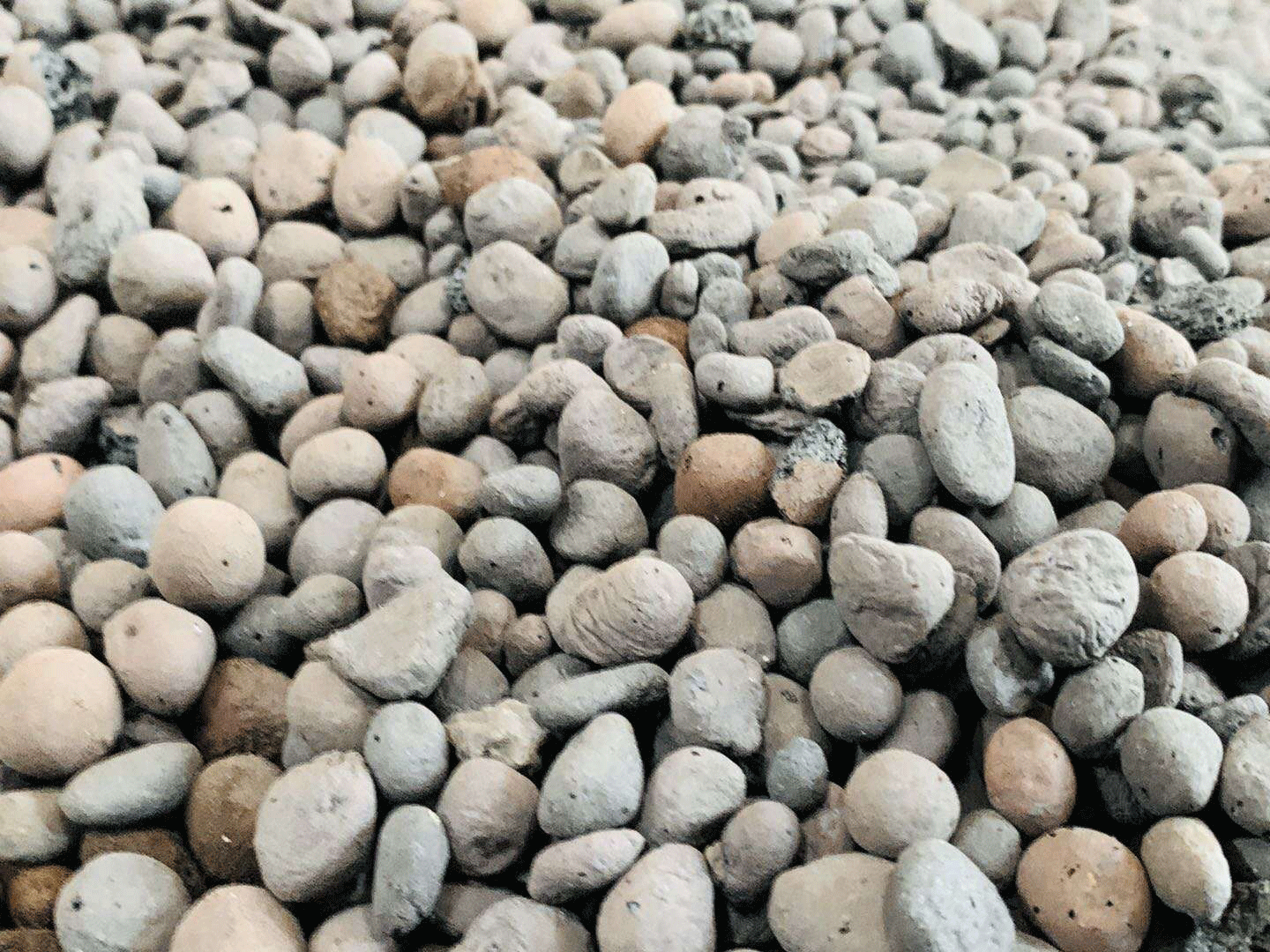 江西撫州陶粒廠發(fā)貨,價(jià)格便宜,陶粒強(qiáng)度好