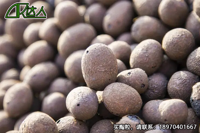 建筑陶粒、回填陶粒